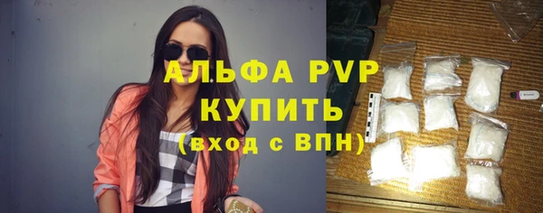 крисы Магас