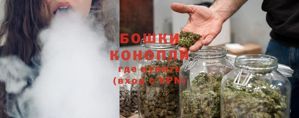 крисы Магас