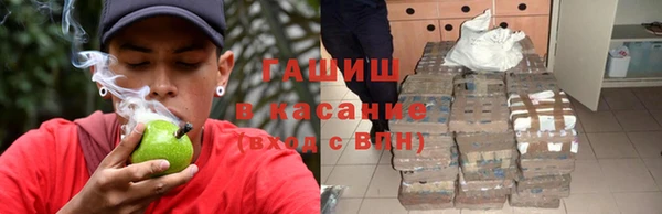 крисы Магас