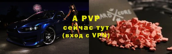 крисы Магас