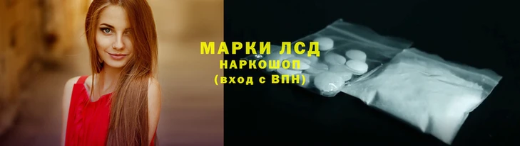 крисы Магас