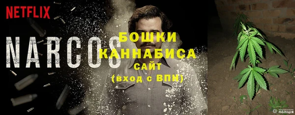 крисы Магас