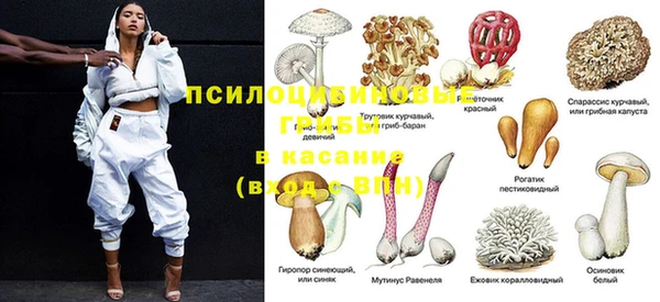 крисы Магас