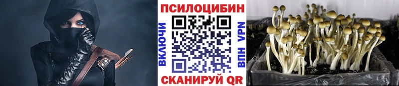 Псилоцибиновые грибы MAGIC MUSHROOMS  как найти   Харабали 